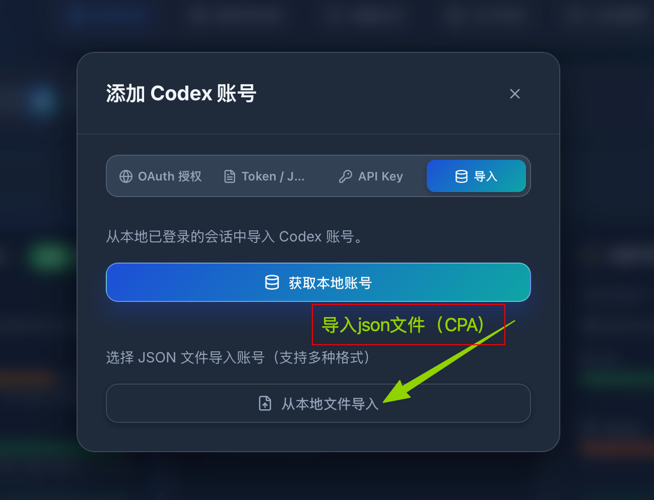 导入账号 JSON 文件